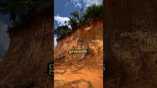3.5-meter sinkhole appears in Alabama