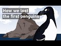 Great Auks: The First Penguins