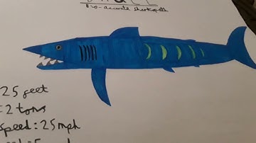 Meet Bruce (bio-accurate sharkopath) The new king of the waters