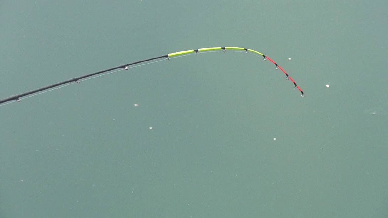 のんびり筏でチヌ 黒だい 釣りはいかが 和歌山 釣太郎 Youtube