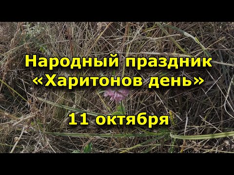 Народный праздник Харитонов день. 11 октября. Что нужно делать в этот день.