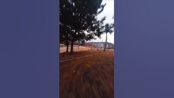 Low to the ground fpv #shorts #insta360go2 #geprccinelog30 #fpvcinematic #fpvdrone