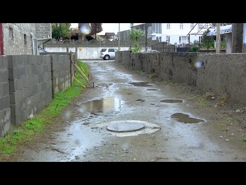 ფიჭვნარის დასახლების მცხოვრებლები მოუწესრიგებელი გზის პრობლემაზე საუბრობენ