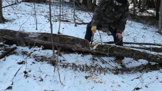 OZARK TRAIL GHOST AXE.