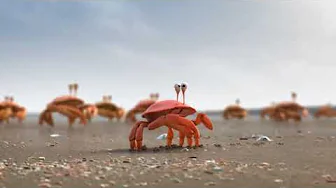Ads for ELT - Together [Crabs]
