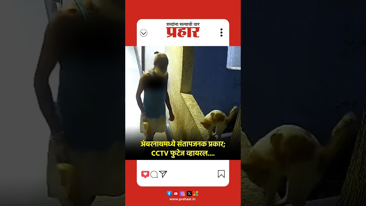 | अंबरनाथमध्ये संतापजनक प्रकार; 12 व्या मजल्यावरून मांजरीला ढकलून हत्या |