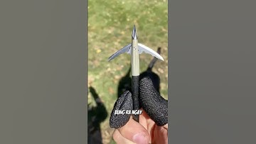 Mũi Tên Mà Thợ Săn Hay Dùng