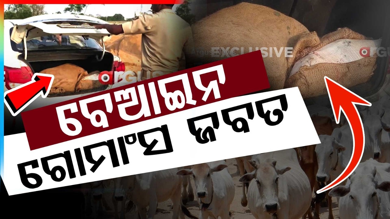 ବେଆଇନ ଗୋ ମାଂସ ଜବତ | Illegal Beef Seized in Bhadrak, One Arrested After Interception | Argus News