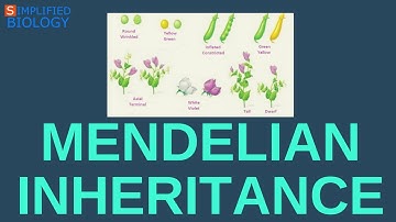 Mendelian Inheritance for NEET, AIPMT, MCAT, AIIMS, JIPMER