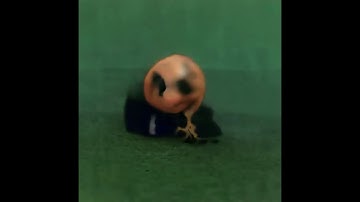 d̸̺͍͈r̴̬̤̼̺̙͢ͅe̲̣͚̳̦̹͔͡ạ̷̟m͙͙͙͉̦͟͠s̡̠̬͎͓̮̻͖c̨̞̺̩̯̱a̢͕p̙͕̀͘e (OpenAI Jukebox, Big Sleep, Lucid Sonic)