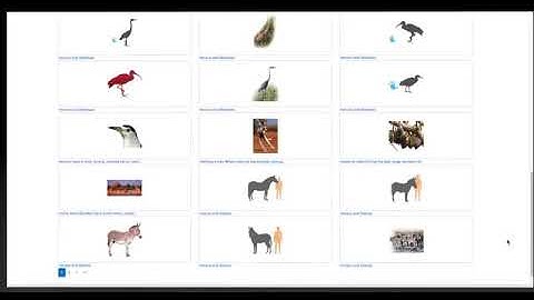 What is Credo Source?