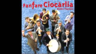 Fanfare Ciocarlia - Hora Cu Strigaturii