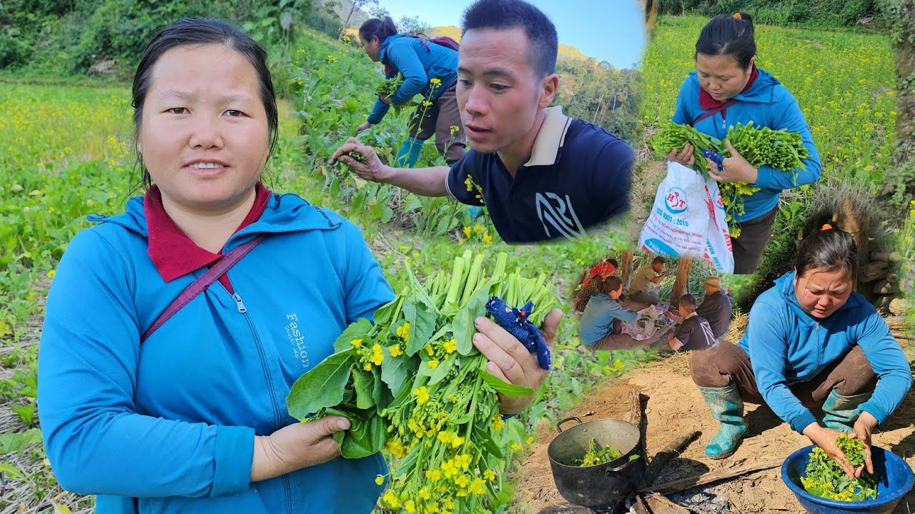 Ntxiag Lub neej, De Nplawv Zaub Paj Mos Heev, Plawv Zaub Ntxim Qab Tshaj