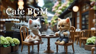 Cat Vibes🐈Relaxing Bossa Nova Kittens' Café BGM ☕A Hydrangea Morning in Kamakura, Japan