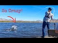 Fishing Super SHALLOW Waters for TROPHY Bass! (IT WORKED!)