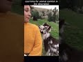 Top 😎 Funny animals videos - Try Not To Laugh 😂😆🤣 - 112 #Shorts