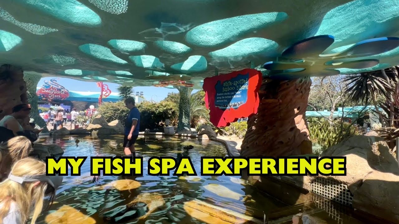 My Fish Spa Experience at SeaWorld San Diego 