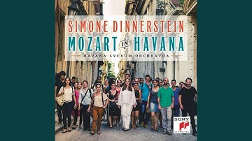 Piano Concerto No. 21 in C Major, K. 467: II. Andante