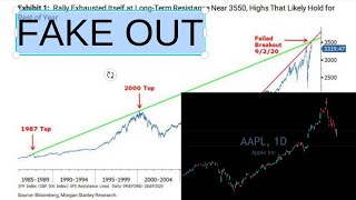 Bear Trap Triggered on Nasdaq. What Happens to Stocks Next? Gold, Silver & Bitcoin Analysis