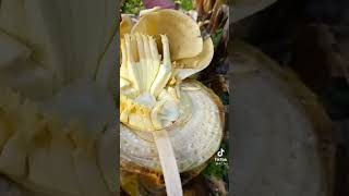 Allah In Mucizesi Doğum Yapmamış Muz Ağacı