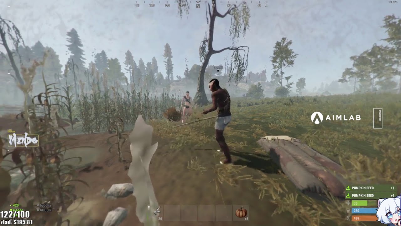 Mendo in ''Impaling yourself in Rust'' - Twitch clips - YouTube