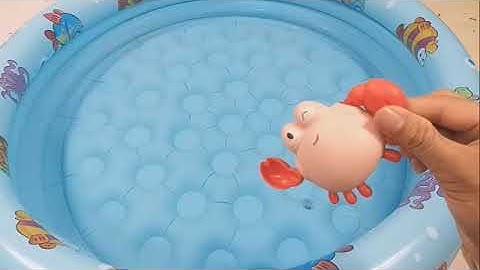 Động Vật Dễ Thương,Âm Thanh Động Vật,Cá Mập,Cá Heo,Cá Chép,Cá Koi,Cá Đuối,Bọ Ngựa,Chuồn Chuồn,Animas