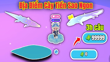 (Play Together) Địa Điểm Câu Cá Mới Cày Tiền Sao Siêu Ngon Siêu Nhanh 