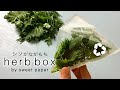 折り紙 しそ&amp;ハーブ保存ボックス🌿Origami Fresh Herb Box（家にあるA4クリアホルダーをリサイクル）