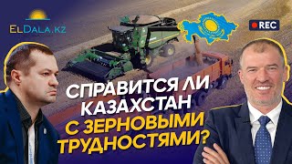 Урожай 2023: цены на зерно, импорт из РФ, семена для посевной-2024 — Малов