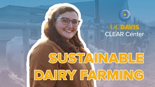 Ensuring a Sustainable Food System in the Cattle Livestock Sector