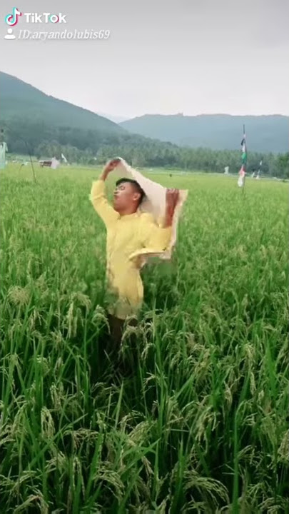 TikTok agata lubis di sawah kampungku.