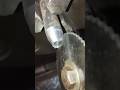 #lathemachine #metalwork #automobile #tecnical #engineering #machine #cnc #creative #lathe #carbide