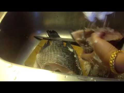 วีดีโอ: วิธีการทอดปลาแช่แข็ง