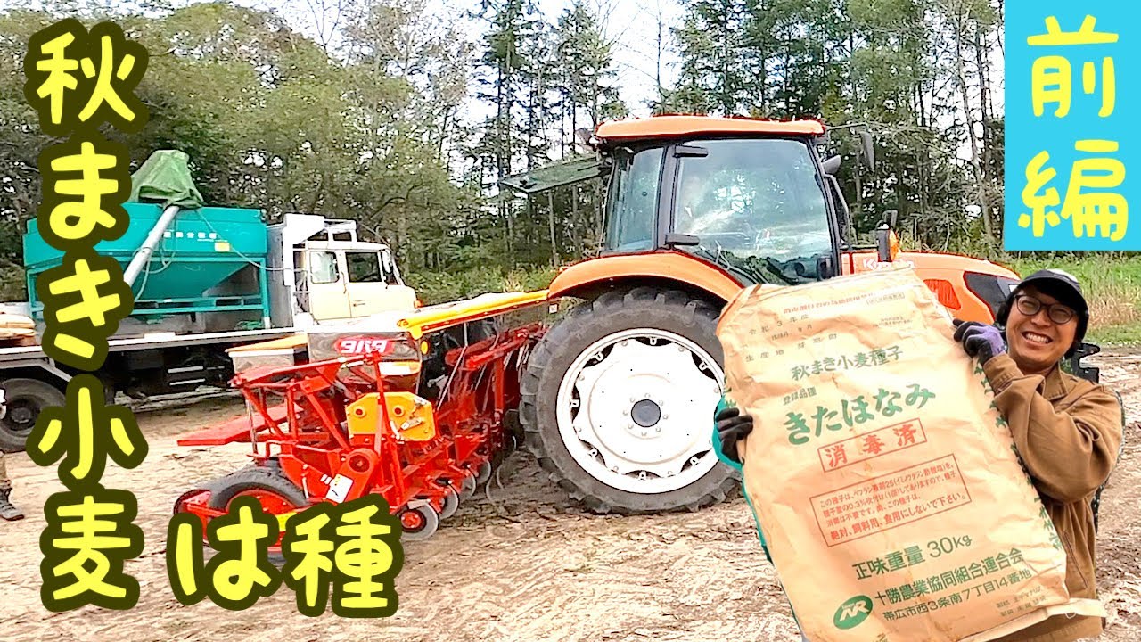 クボタ MR97 レクシア 秋まき小麦は種 【タバタドリル】北海道 十勝 農業 楽しい トラクター はたらくくるま