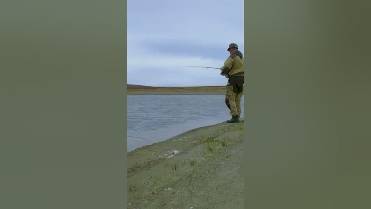 Рыбалка на севере видео сетями браконьеры. Мужи ЯНАО рыбалка. На севере форум рыбалка Северодвинск. Рыбалка на севере форум 2023г. Рыбалка на севере 2022