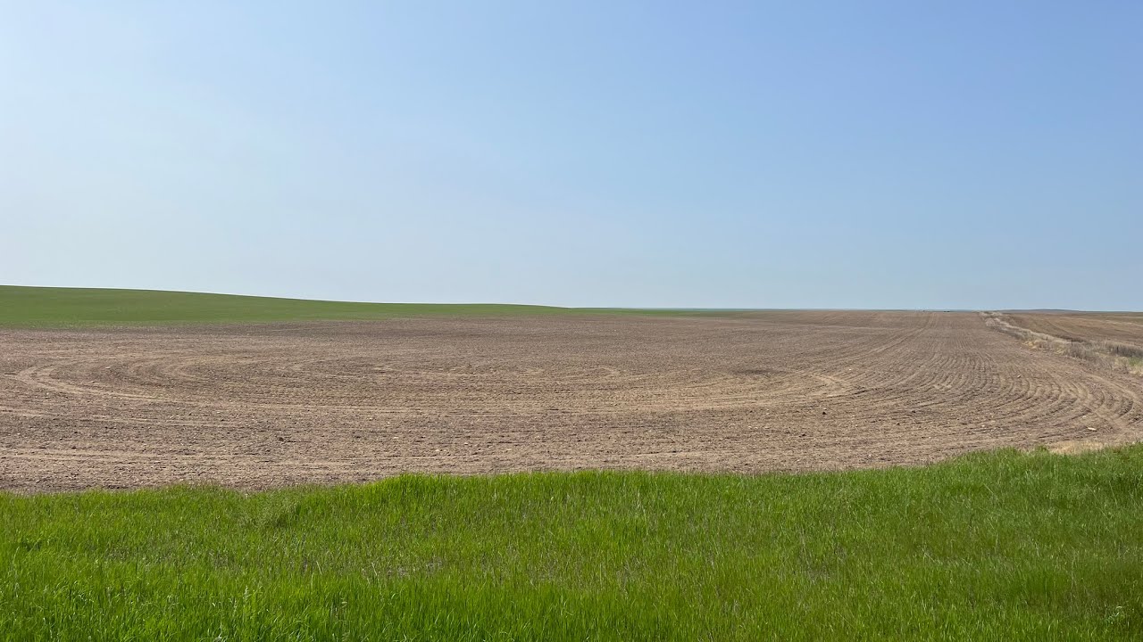 Gophers Drive Us Nuts; Grasshoppers Devour Young Crop…SEND HELP NOW ...