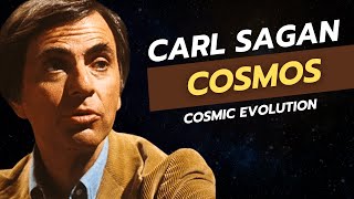 Carl Sagan And 15 Billion Years Of Cosmic Evolution