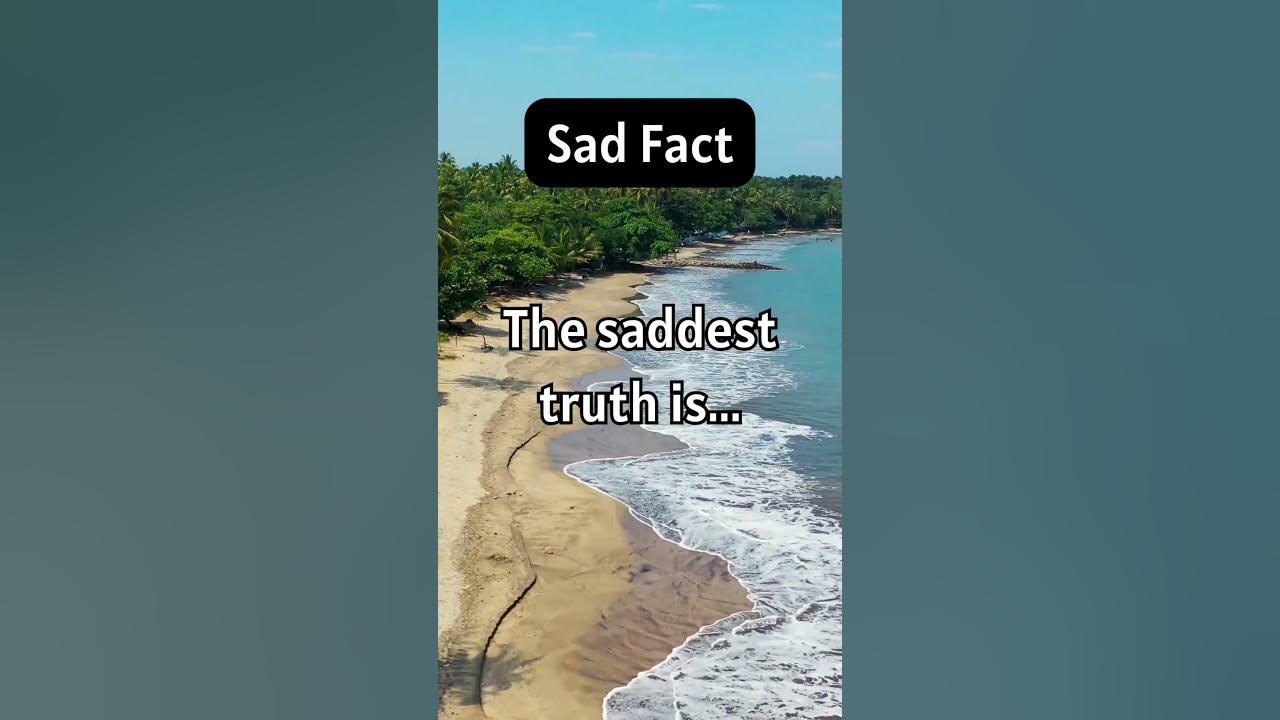 The Saddest Truth Is shorts YouTube the-saddest-truth-is-shorts-youtube