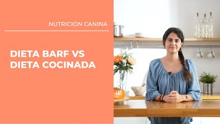 Dieta Barf vs Dieta Cocinada by Dogfy Diet 3,840 views 1 year ago 2 minutes, 19 seconds