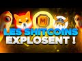 Les shitcoins explosent ma stratgie pour gagner  