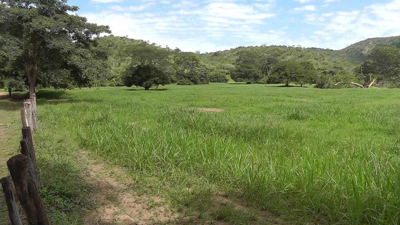 Hato Piñero, Cojedes, Venezuela (Camping). Venezuela, Rutas y Parajes