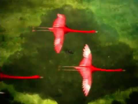 聖剣伝説DS チルドレン オブ マナ CM 4