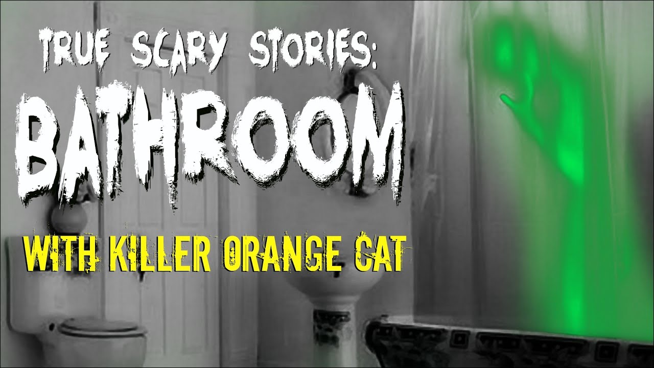 True Scary Stories: BATHROOM w/Killer Orange Cat cca
