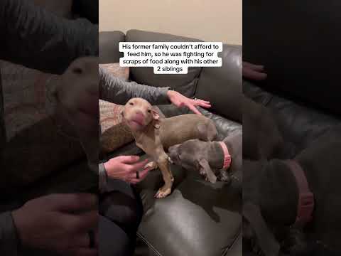 Video If you’re interested in donating for his medical care, you can visit Mikeychance.com. - youtube