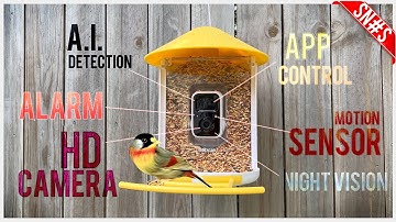 SMART bird feeder 🦉wireless HD camera, A.I. bird recognition & MORE!