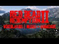 Red Dead Redemption 2 - Woodlands | Music &amp; Ambience