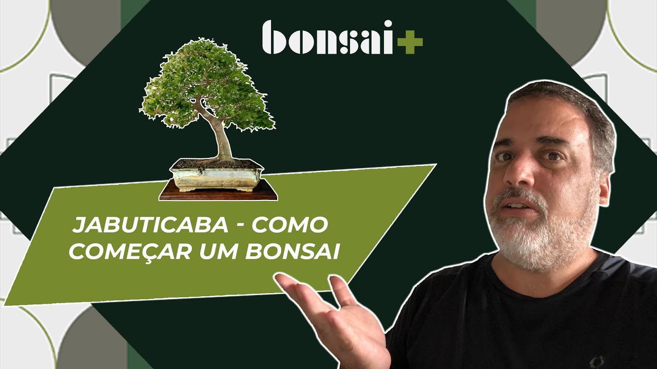 Como fazer Bonsai de Jabuticaba ( video 1 )