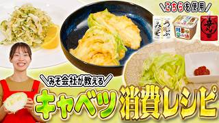 余ったキャベツを大活用!?マルコメみそでつくるキャベツ消費レシピ3選