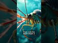 Shocking Secret of the Mantis Shrimp! 🤯 Nature's Boxer!