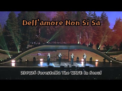 250726 토 Dell Amore Non Si Sa Forestella ТHЕ WAVE In Seoul 
